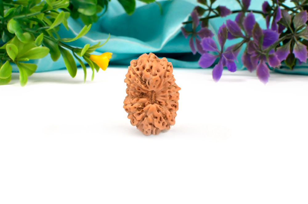 RJS16EM-K-26916-16 Mukhi from Java Indonesia Small CXII-1